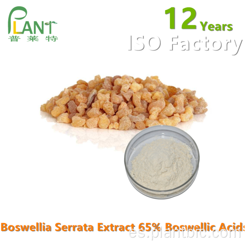 Polvo de extracto de Boswellia Serrata 65% 90% Ácido boswélico